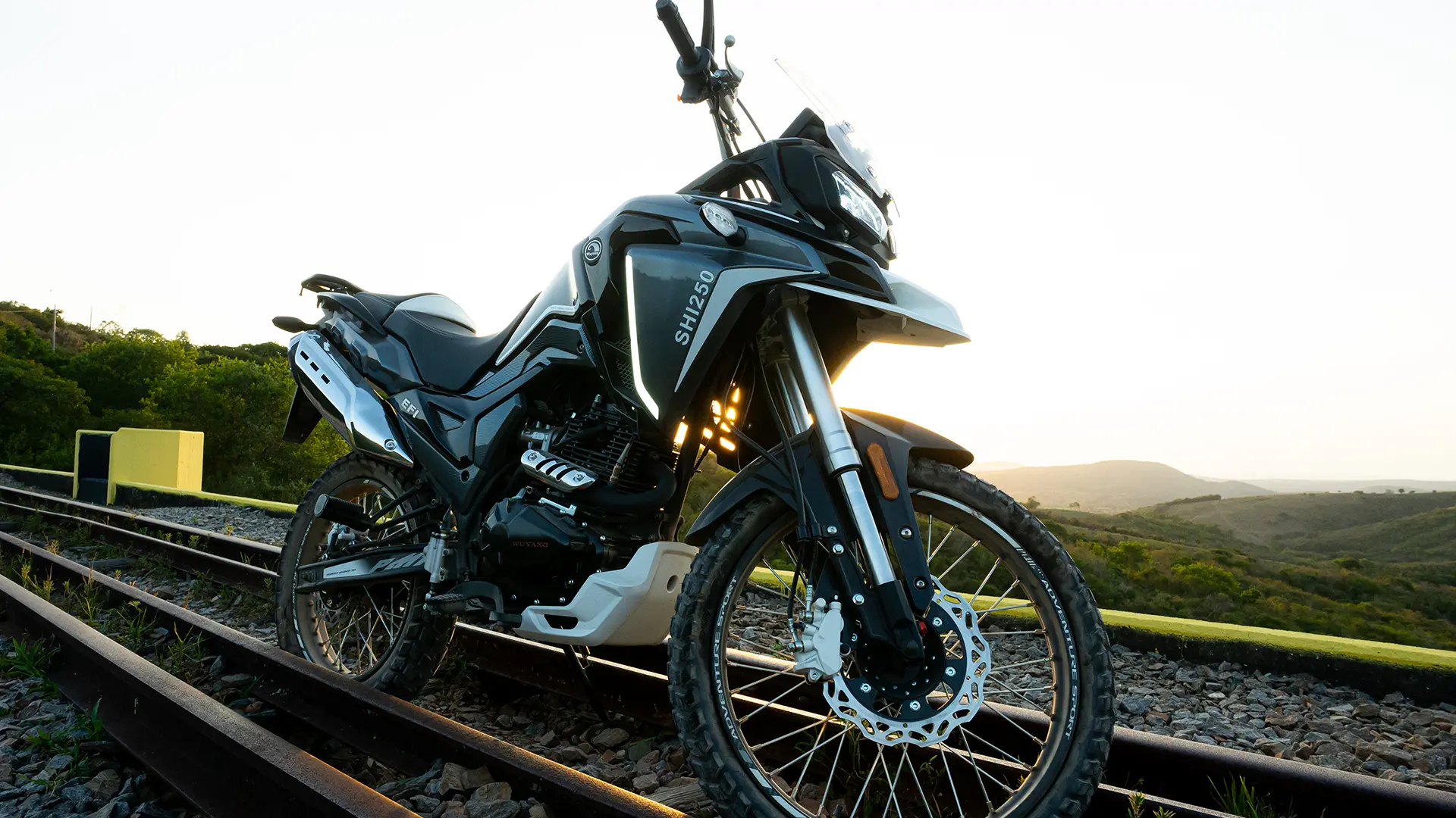 GALERIA-SHI-250-1